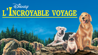 L'Incroyable Voyage (1993)