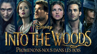 Into the Woods - Promenons-nous dans les bois (2014)