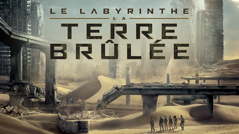 Le Labyrinthe : La Terre Brûlée (2015)