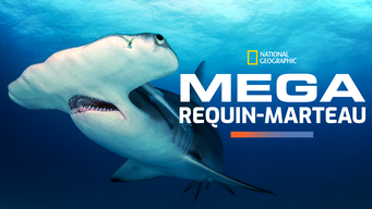 Mega requin-marteau (2016)