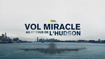 Amerrissage miraculeux sur l'Hudson (2014)