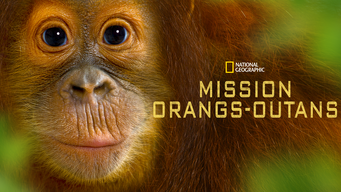 Mission orangs-outans (2015)