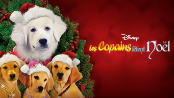 Les Copains fêtent Noël (2009)