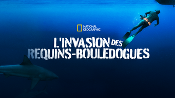 L'invasion des requins-bouledogues (2020)