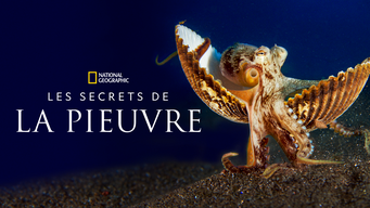 Les secrets de la pieuvre (2024)