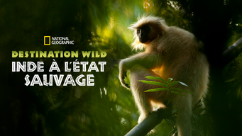 Destination Wild : Inde à l'état sauvage (2012)