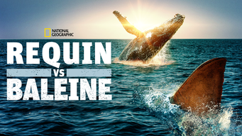 Requin vs Baleine (2020)