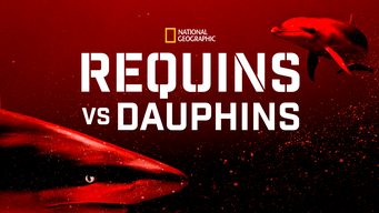 Requins vs Dauphins (2020)