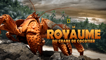Le royaume du crabe de cocotier (2019)