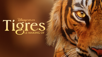 Tigres : le making of (2024)