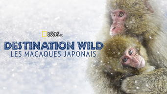 Destination Wild : Les macaques japonais (2014)
