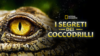 I segreti dei coccodrilli (2022)