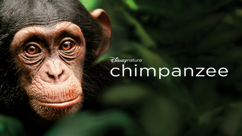 Chimpanzee (2012)