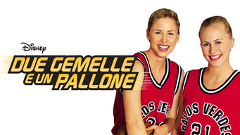 Due Gemelle E Un Pallone (2002)