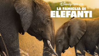 La famiglia di elefanti (2020)