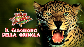 Il giaguaro della giungla (1960)