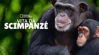 Vita da scimpanzé (2020)