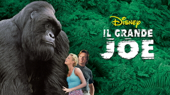 Il Grande Joe (1998)