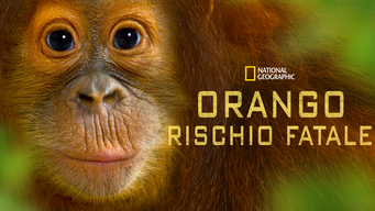 Orango: rischio fatale (2015)