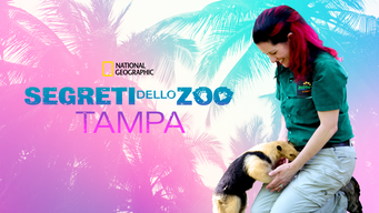 Segreti dello zoo: Tampa (2020)