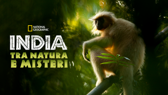 India: Tra Natura e Misteri (2012)