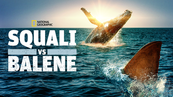 Squali Vs Balene (2020)