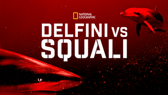 Delfini Vs Squali (2020)
