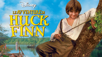 Le Avventure di Huck Finn (1993)