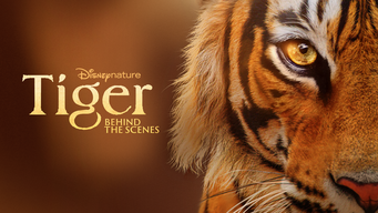 Tiger – Behind the scenes (2024)