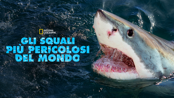 Gli squali più pericolosi del mondo (2013)
