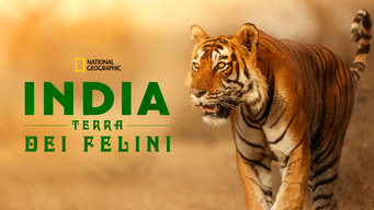 India: Terra Dei Felini (2020)