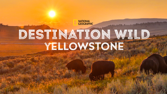 Destination Wild: Yellowstone (2015)