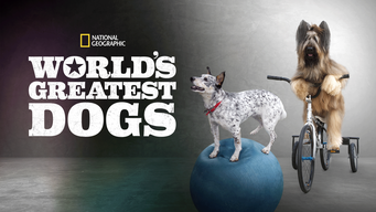 World’s Greatest Dogs (2015)