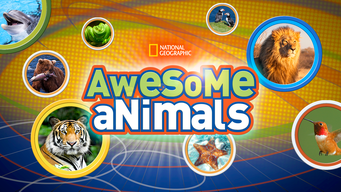 Awesome Animals (2017)