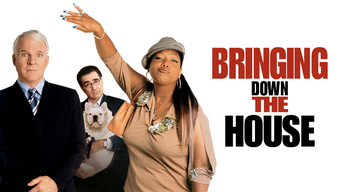 Bringing Down the House (2003)