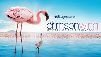 Disneynature The Crimson Wing (2008)