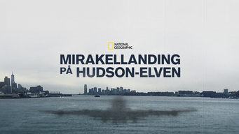 Mirakellanding på Hudson-elven (2014)