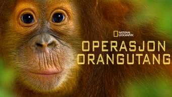 Operasjon orangutang (2015)