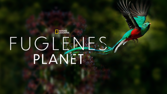 Fuglenes planet (2018)