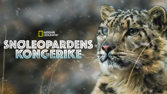 Snøleopardens kongerike (2020)