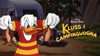 Kluss i campingvogna (1950)