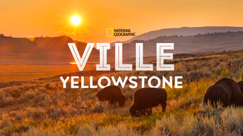 Ville Yellowstone (2015)