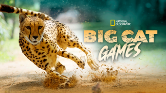 Big Cat Games (2015)