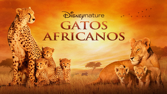 Gatos Africanos (2011)