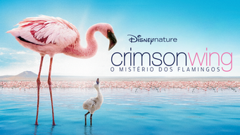 Disneynature Crimson Wing: O Mistério dos Flamingos (2008)