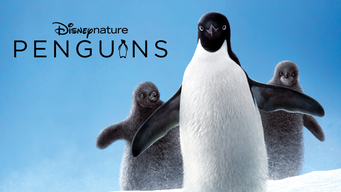 Pinguins (2019)
