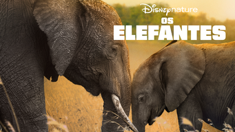 Os Elefantes (2020)