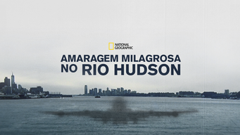 Amaragem Milagrosa no Rio Hudson (2014)