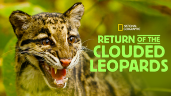 Return of the Clouded Leopards (2012)