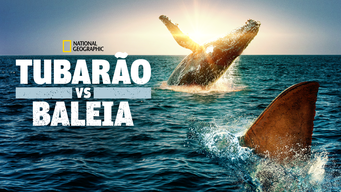 Tubarão vs Baleia (2020)